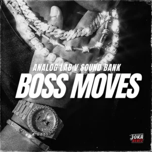 Diamond Loopz - Boss Moves (Analog Lab Bank)