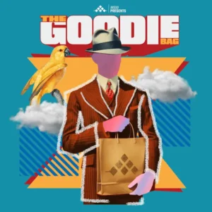 MSXII - The Goodie Bag Hip Hop (FLEX Presets)