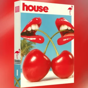 Loopsy - House Vol. 1 (Serum Presets)