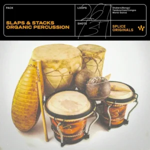 Splice Originals - Slaps and Stacks Organic Percussion (Sample Pack)