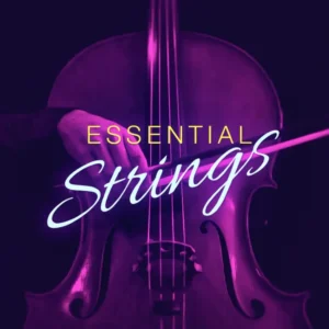 Image-Line – Essential Strings (FLEX Presets)