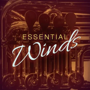 Image-Line – Essential Winds (FLEX Presets)