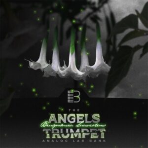Brandon Chapa - Angels Trumpet (Analog Lab Bank)