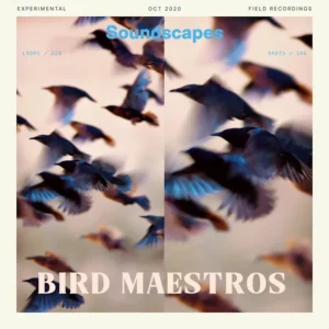 Splice Explores - Bird Maestros (Sample Pack)