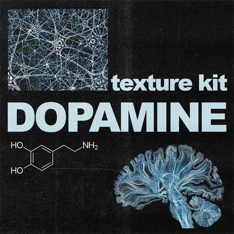 SamplesWave - Dopamine (Textures, Accent Kit)