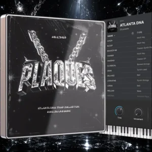Relooped - PLAQUES (Analog Lab Bank)